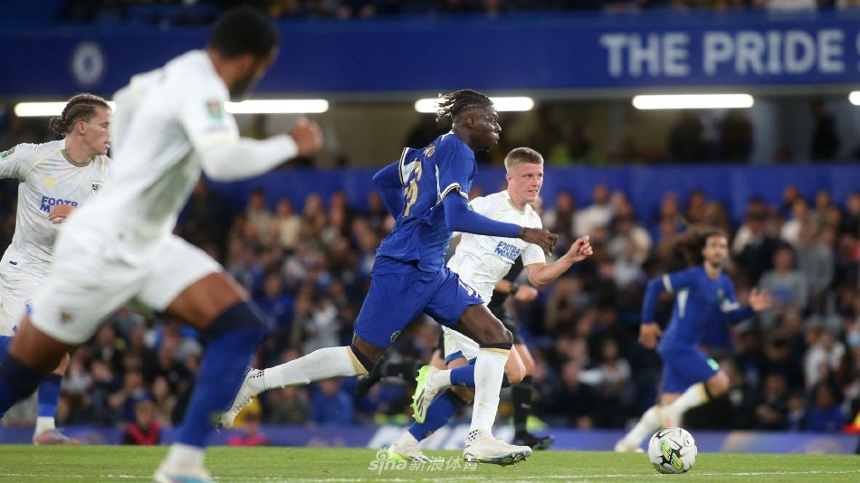 的观赛热潮 的观赛热潮