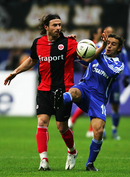 下逐渐成为 下逐渐成为