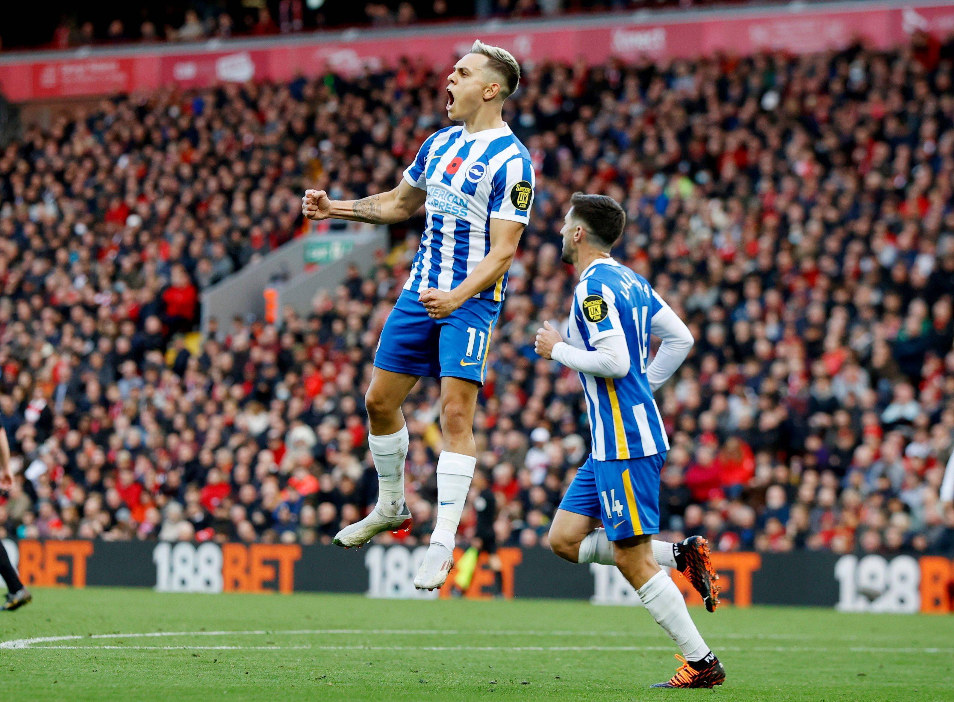 进一步阐释 进一步阐释